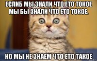 еслиб мы знали что ето токое мы бы знали что ето токое. но мы не знаем что ето такое