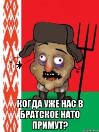  когда уже нас в братское нато примут?