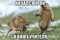 начался урок я вижу учителя