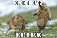 сус или сас? конечно сас