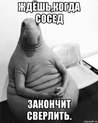 ждёшь,когда сосед закончит сверлить.