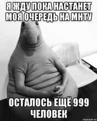 я жду пока настанет моя очередь на мнту осталось ещё 999 человек