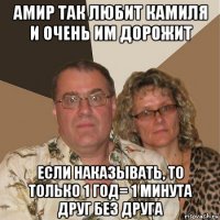 амир так любит камиля и очень им дорожит если наказывать, то только 1 год= 1 минута друг без друга