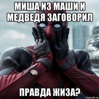 миша из маши и медведя заговорил правда жиза?