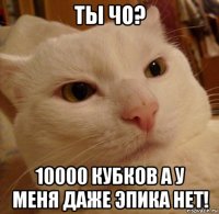 ты чо? 10000 кубков а у меня даже эпика нет!