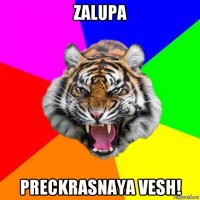 zalupa preckrasnaya vesh!