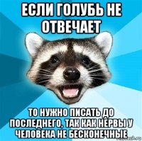 если голубь не отвечает то нужно писать до последнего, так как нервы у человека не бесконечные