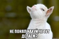  не понял нахуй,че тут делаем?