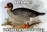 ва та фак!? откуда в гараже этот гусь?