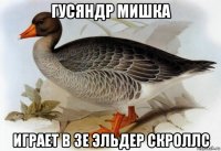 гусяндр мишка играет в зе эльдер скроллс