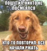 пошутил, никто не посмеялся кто-то повторил, все начали ржать