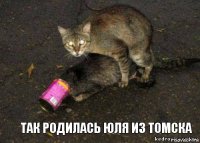 ТАК РОДИЛАСЬ ЮЛЯ ИЗ ТОМСКА