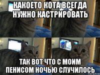 какоето кота всегда нужно кастрировать так вот что с моим пенисом ночью случилось