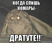 когда спишь *комары- дратуте!!*