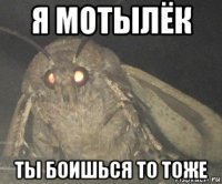 я мотылёк ты боишься то тоже