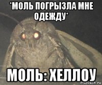 *моль погрызла мне одежду* моль: хеллоу