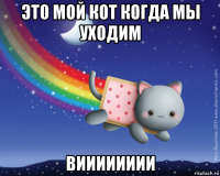 это мой кот когда мы уходим вииииииии