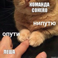 Команда Cohero Леша