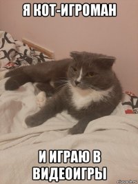 я кот-игроман и играю в видеоигры