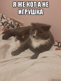 я же кот а не игрушка 