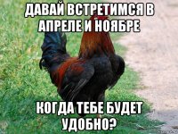 давай встретимся в апреле и ноябре когда тебе будет удобно?