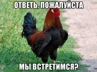 ответь, пожалуйста мы встретимся?