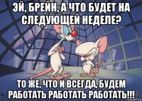 эй, брейн, а что будет на следующей неделе? то же, что и всегда, будем работать работать работать!!!