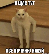 я щас тут все починю нахуй