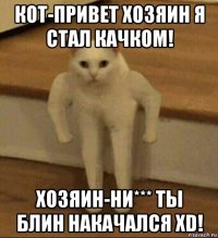 кот-привет хозяин я стал качком! хозяин-ни*** ты блин накачался xd!