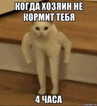 когда хозяин не кормит тебя 4 часа