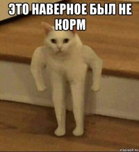 это наверное был не корм 