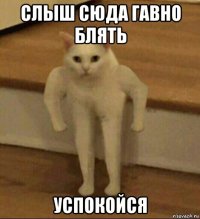 слыш сюда гавно блять успокойся