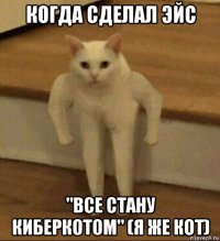 когда сделал эйс "все стану киберкотом" (я же кот)