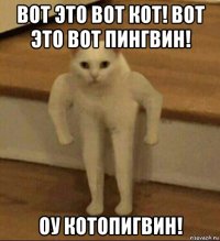 вот это вот кот! вот это вот пингвин! оу котопигвин!