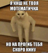 я кнш не твоя мотематичка но на прогиб тебя скоро кину