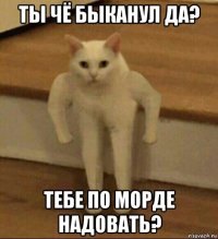 ты чё быканул да? тебе по морде надовать?