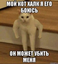 мой кот халк я его боюсь он может убить меня