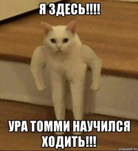 я здесь!!!! ура томми научился ходить!!!