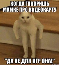 когда говоришь мамке про видеокарту "да не для игр она!"