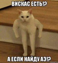 вискас есть!? а если найду аэ!?