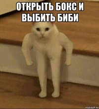 открыть бокс и выбить биби 