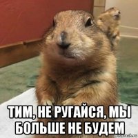  тим, не ругайся, мы больше не будем