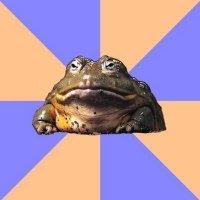 Лучшие мемы  Противная жаба