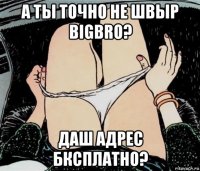 а ты точно не швыр bigbro? даш адрес бксплатно?