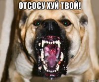 отсосу хуй твой! 