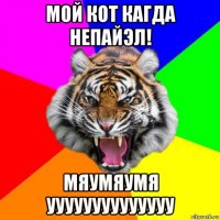 мой кот кагда непайэл! мяумяумя уууууууууууууу