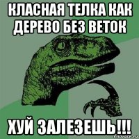 класная телка как дерево без веток хуй залезешь!!!