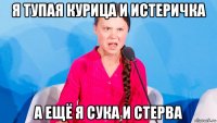 я тупая курица и истеричка а ещё я сука и стерва