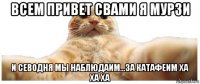 всем привет свами я мурзи и севодня мы наблюдаим...за катафеим ха ха ха