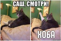 саш, смотри! 